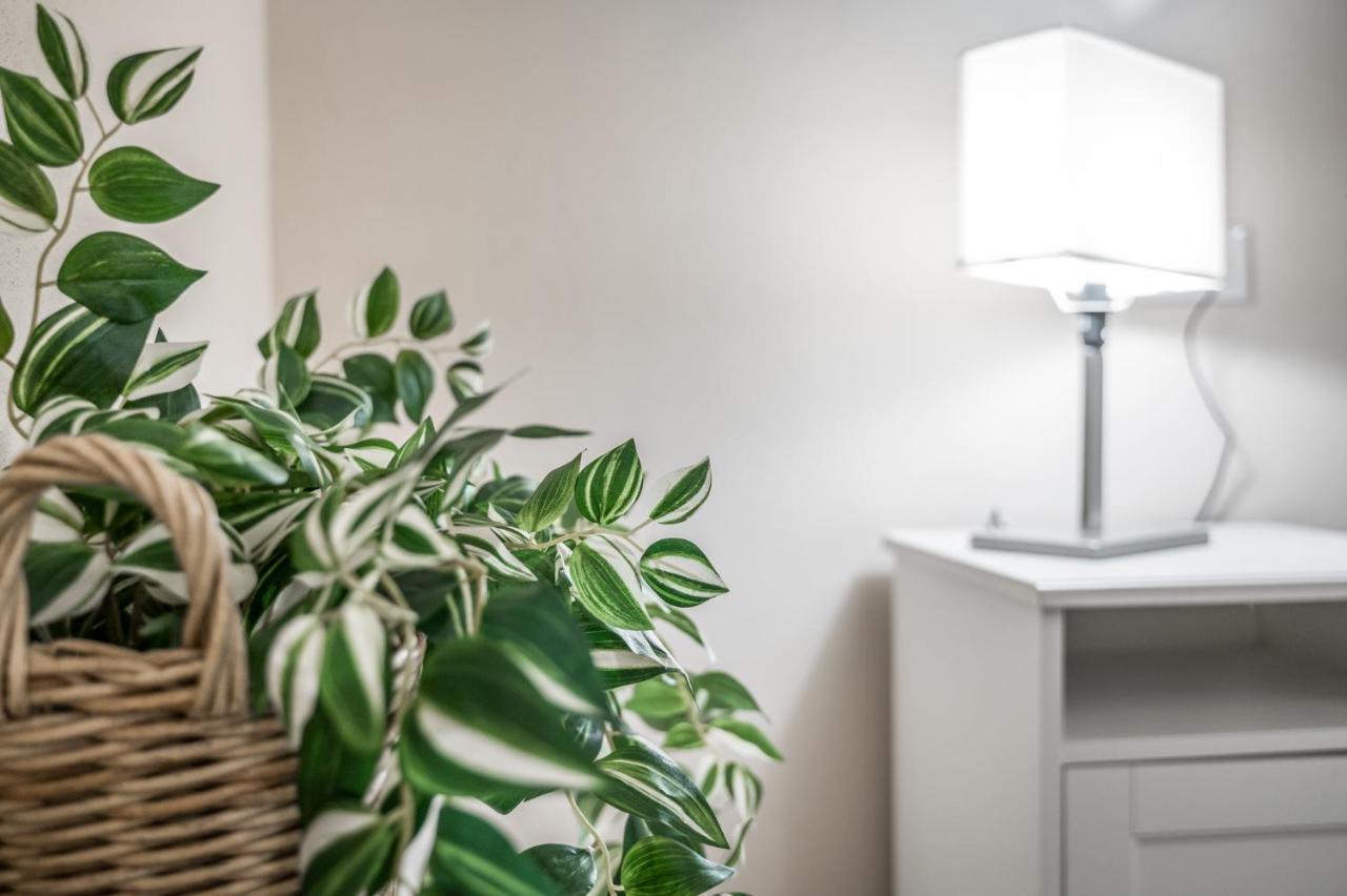 Broccaindosso Wood Apartments 5* Bologna Eksteriør bilde